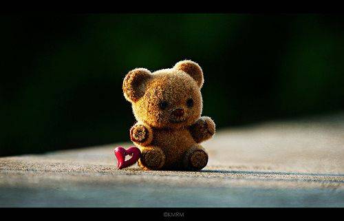 不要相信你的耳朵,要相信你的心