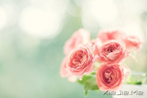 把日子过成诗,简单而精致 (1)