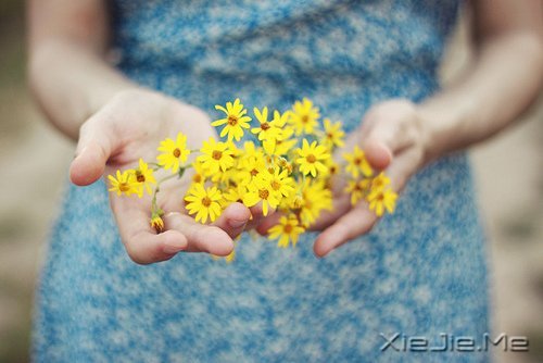 好好生活,做一个接近幸福的人 (7)