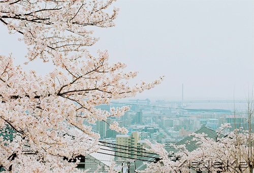 好好生活,做一个接近幸福的人 (10)