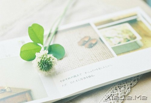 真正的高贵应该是优于过去的自己 (3)