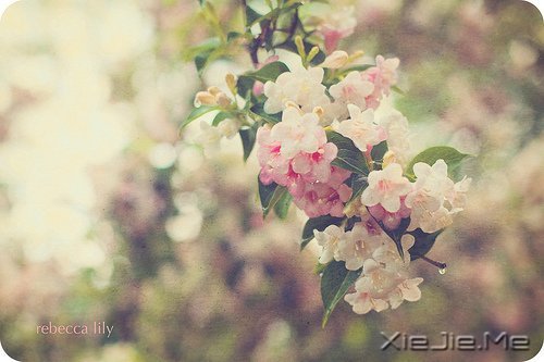 只要你在走,总会看到进步 (4)