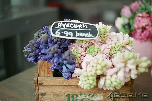 只有知足感恩,才能笑对人生 (6)