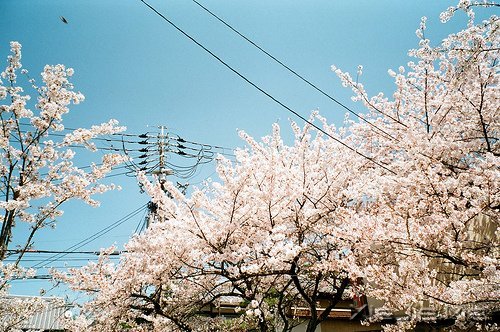 世事自有安排,我们只需顺其自然 (3)