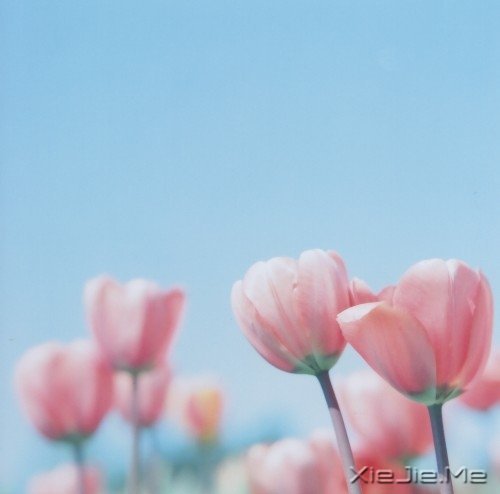 爱自己的人,才会有人爱 (1)