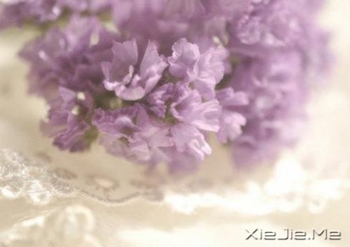 活得平和,才能在心里装下满满的幸福 (6)