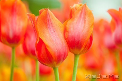 人生,一半是现实,一半是梦想 (3)