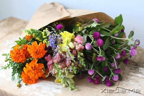 人生,一半是现实,一半是梦想 (7)