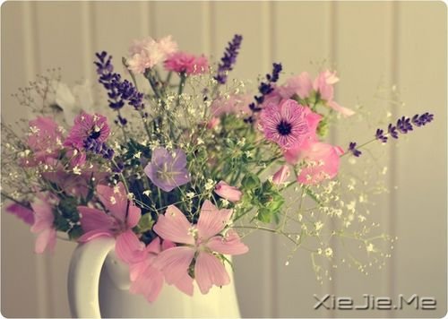 一路感恩,且行且珍惜 (2)