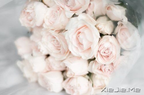 一路感恩,且行且珍惜 (3)