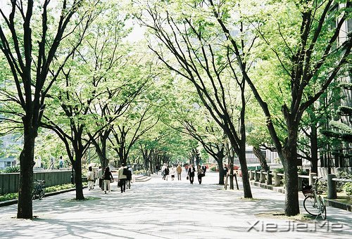 晚安心语:只有想不通的人,没有走不通的路 (9)