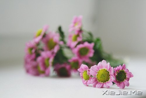 早安心语:如果时间可以倒退,一切也就不再珍贵 (6)