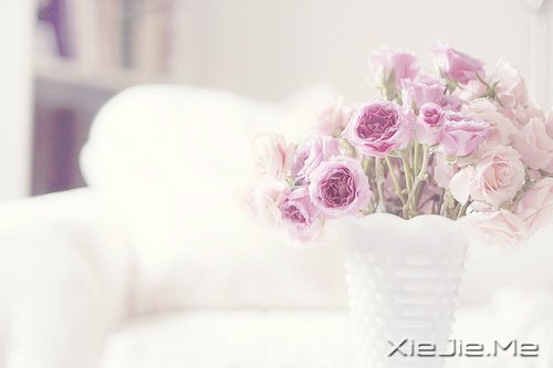 早安心语:找一个理由,去否认忧伤 (1)