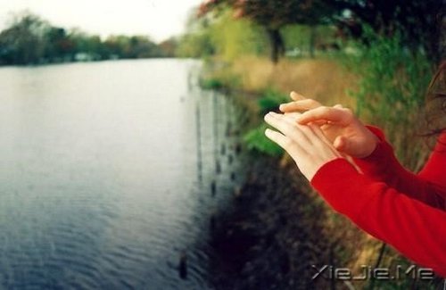 早安心语:在乎的太多,对自己也是种折磨 (6)