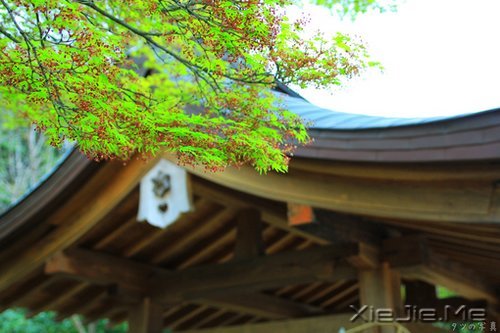 晚安心语:远处的是风景,近处的才是人生 (9)