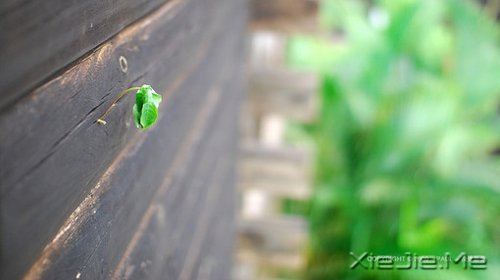 早安心语:面对复杂,保持欢喜 (9)