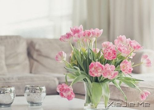 晚安心语:每一段青春都会苍老,但我希望记忆里的你一直都好 (1)