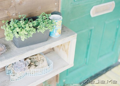 晚安心语:每一段青春都会苍老,但我希望记忆里的你一直都好 (3)