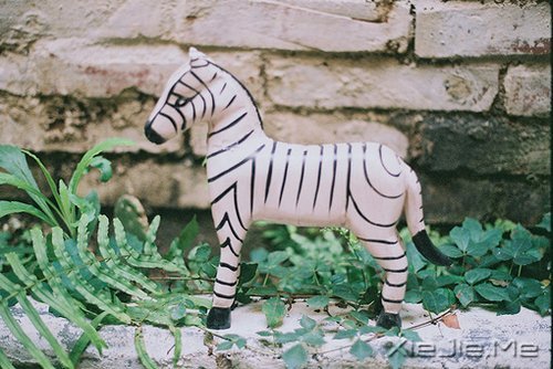 早安心语:不忘初心,方得始终 (3)