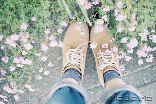 晚安心语:做自己生命的主角,而不是别人生命中的看客 (9)