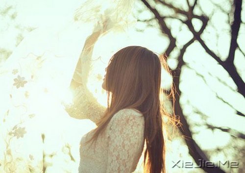 早安心语:不要作践了自己,辜负了岁月 (1)