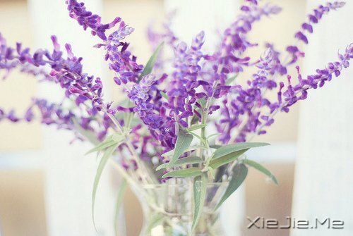 晚安心语:我想要的,一直很简单 (2)