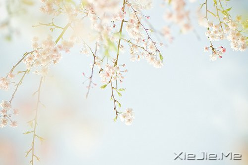 这山长水远的道路,终究是要自己走下去 (3)