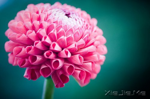 早安心语:淡然一切,往事如烟 (2)