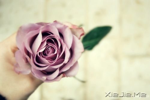 早安心语:人生,就是你一个人的人生 (4)