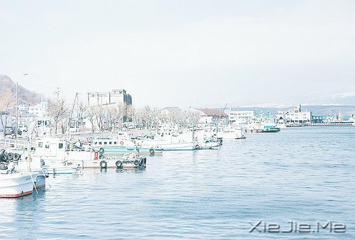 早安心语:音乐,开心时入耳,伤心时入心 (5)