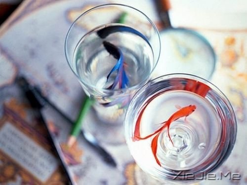 早安心语:没有伞的孩子必须努力奔跑 (8)