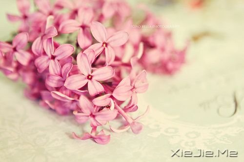 晚安心语:愿你成为自己的太阳 (1)