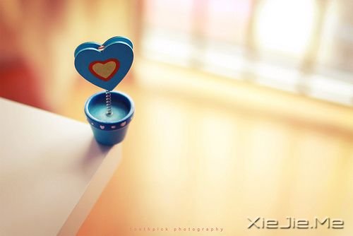 早安心语:想不开就不想,得不到就不要 (8)