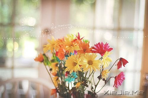 晚安心语:只要心是晴朗的,人生就没有雨天 (6)