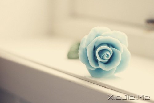 早安心语:掌一盏灯,惊艳世间 (5)