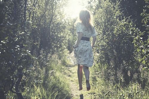 晚安心语:我想要用我的方式飞翔一次 (7)