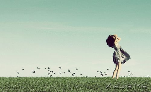 晚安心语:美从来不少,只要去寻找 (6)