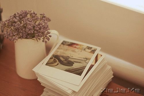 早安心语:我们以为的无路可走,其实是生命另一段旅程的开始 (5)