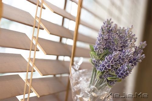 早安心语:面对未知,请用好奇替代恐惧 (5)