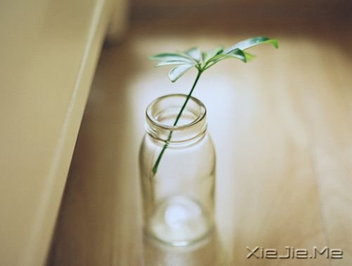 晚安心语:给自己多一点点的温情 (7)