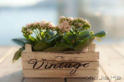 晚安心语:有些事不说,不代表不知道 (5)