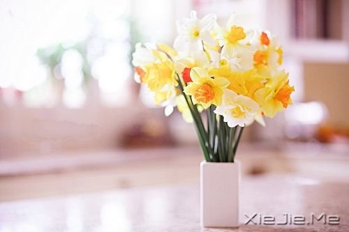 晚安心语:最暗的夜,才会看见最美的星光 (7)