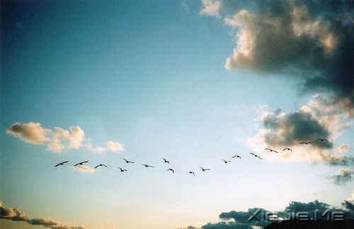 晚安心语:不要因为一时的心烦,做出一辈子的傻事 (2)