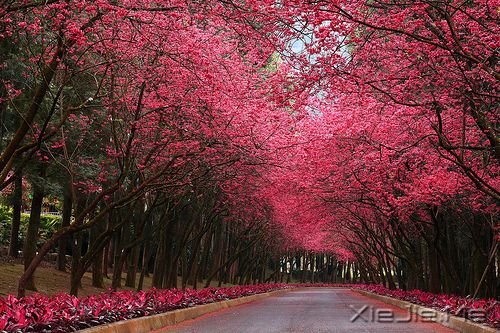 早安心语:童心未泯,是一件值得骄傲的事情 (5)