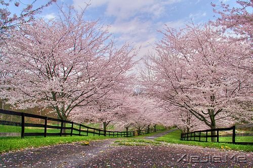 早安心语:逆风的方向,更适合飞翔 (9)
