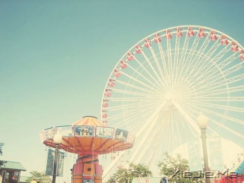 早安心语:逆风的方向,更适合飞翔 (10)