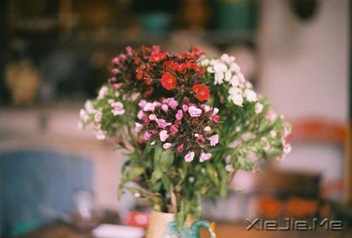 早安心语:自己的笑容才是最美的风景 (3)