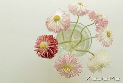 簲ڱ˵ʧԼ· (10)