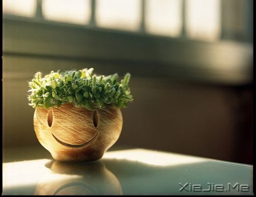 簲Ůһ£үǶһ˼ (5)