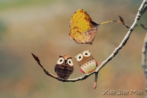 晚安心语:每一个不曾起舞的日子,都是对生命的辜负 (4)